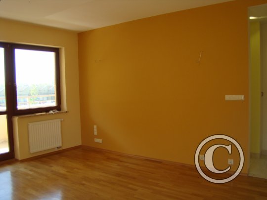 Puste pomieszczenie z drewnianą podłogą, żółtymi ścianami i oknem balkonowym. Ściany świeżo pomalowane, widoczne ślady po wcześniejszych mocowaniach. Grzejnik pod oknem.