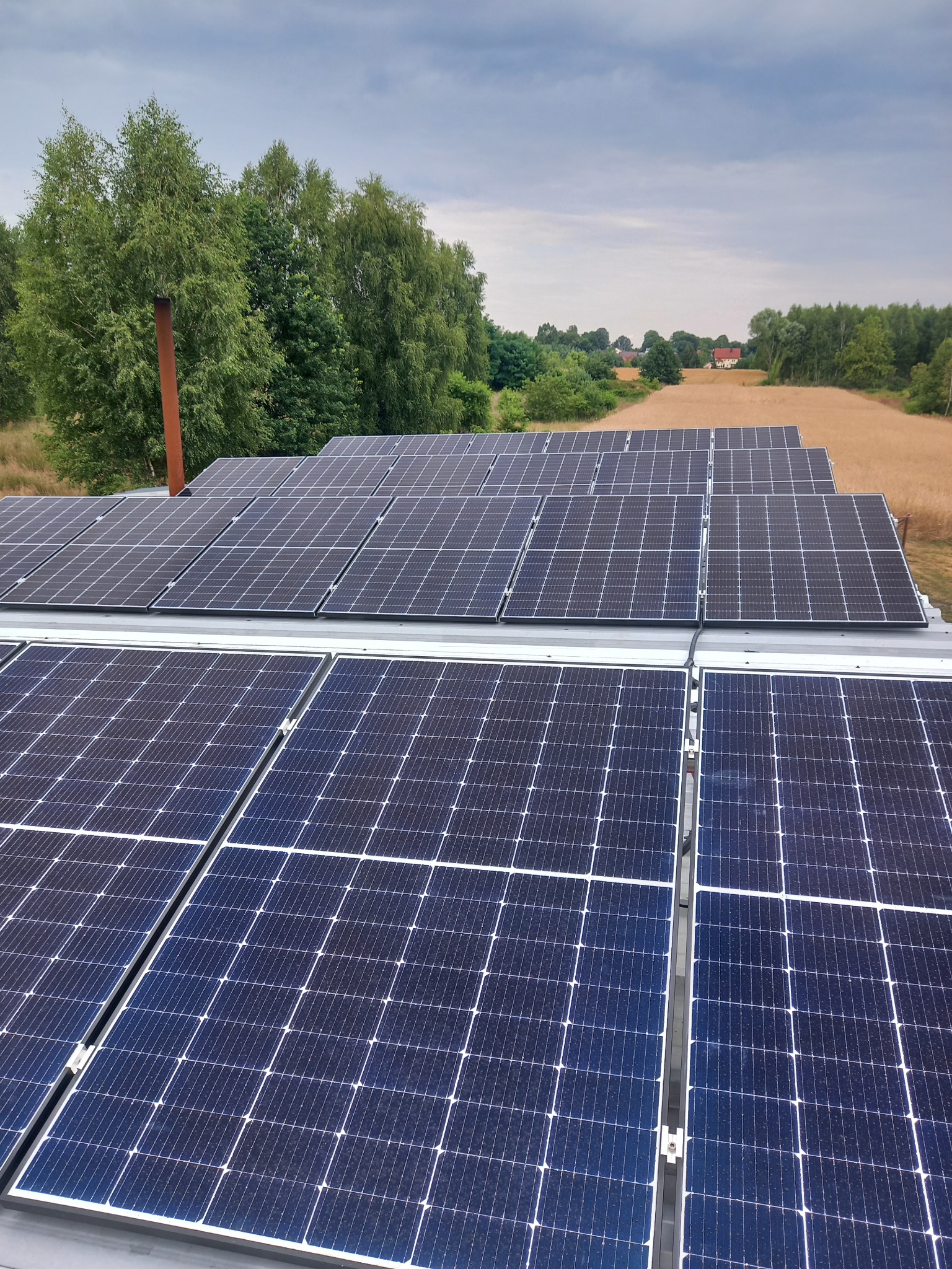Rząd paneli słonecznych na dachu budynku, w tle drzewa i pole zboża pod pochmurnym niebem.