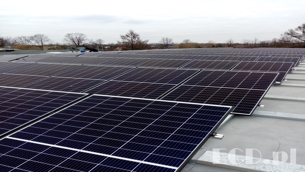 Rozległa instalacja paneli słonecznych na płaskim dachu budynku przemysłowego, widoczna z niskiej perspektywy, z drzewami w tle pod pochmurnym niebem.