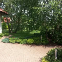 Ogród z chodnikiem z kostki brukowej i różnorodną roślinnością ozdobną w Wejherowie, z widocznymi lampami ogrodowymi.