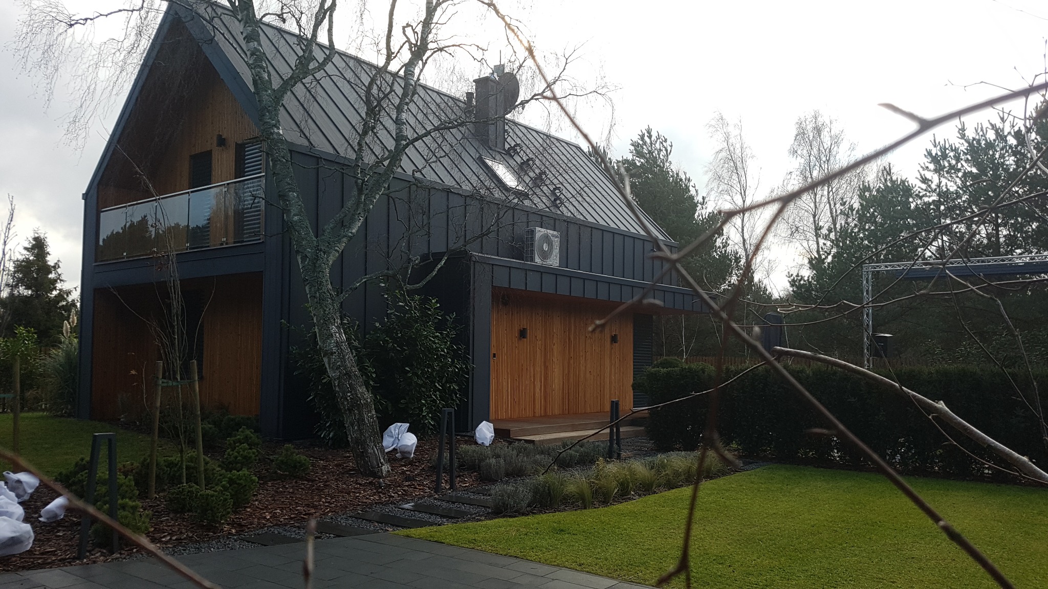 Nowoczesny dom z ciemną blachą na dachu i drewnianą elewacją, ogród z młodymi drzewkami zabezpieczonymi białym materiałem, widok zza gałęzi drzewa.