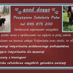 Wyprowadzanie psów Gdańsk 1