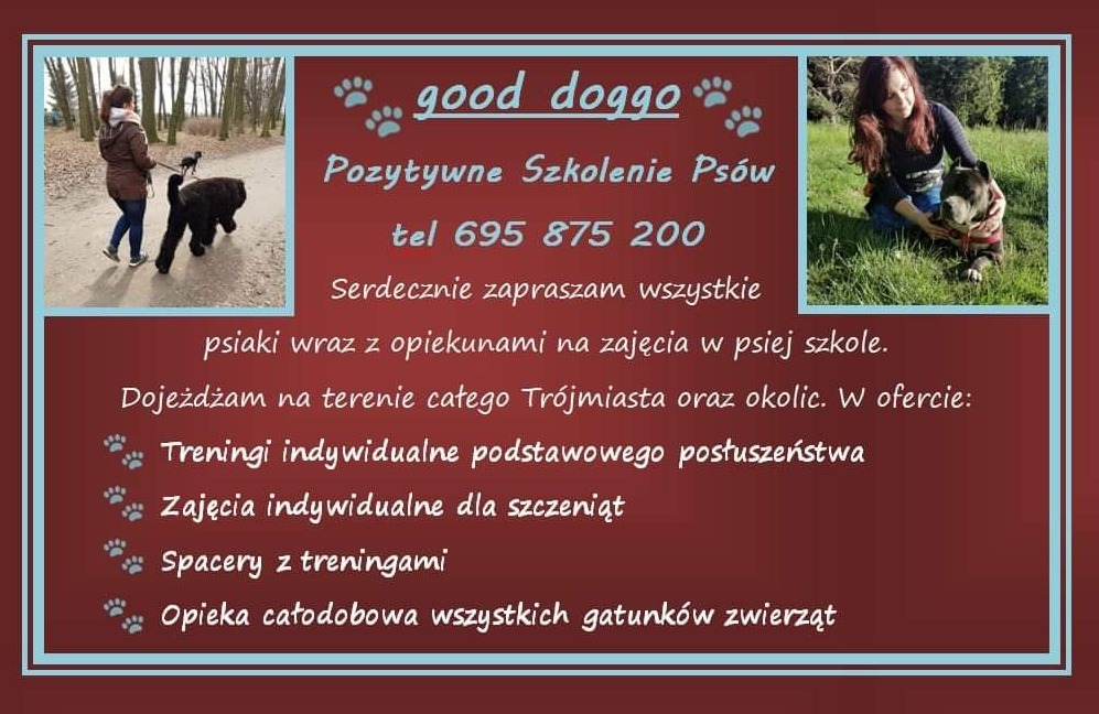 Ogłoszenie psiej szkoły z dwoma zdjęciami: kobieta spacerująca z dużym czarnym psem na smyczy w parku, oraz kobieta przytulająca psa na trawie.
