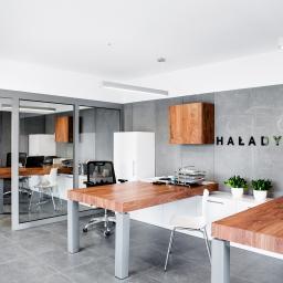 Atelier Fotografii Biznesowej - zdjęcie z sesji wykonane dla BlachLak HAŁADYN