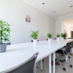 Jasne, minimalistyczne wnętrze biura z długim białym stołem konferencyjnym, otoczonym krzesłami na kółkach; na stole ustawione doniczkowe rośliny, a na ścianie dekoracyjny plakat.