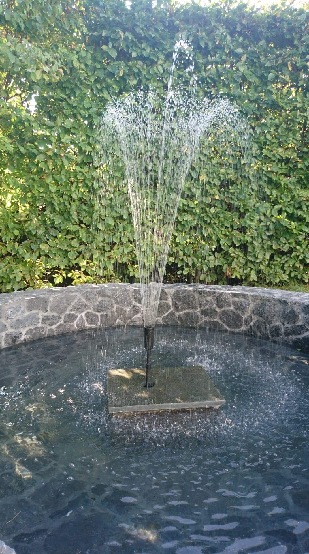 Okrągła fontanna z kamienną obudową i zielonym żywopłotem w tle, woda tryskająca z dyszy w górę.