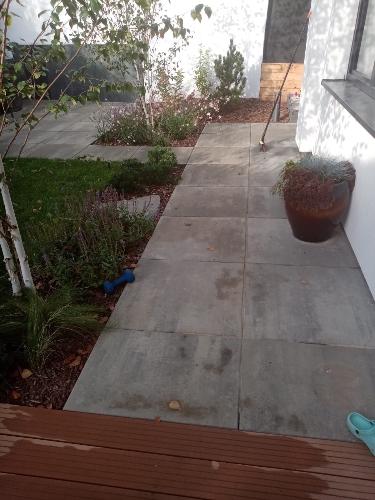 Ułożona kostka brukowa w ogrodzie z roślinnością, dekoracyjnym kamieniem, brązową donicą przy białej ścianie domu i niebieskim hantlem leżącym obok rabaty.