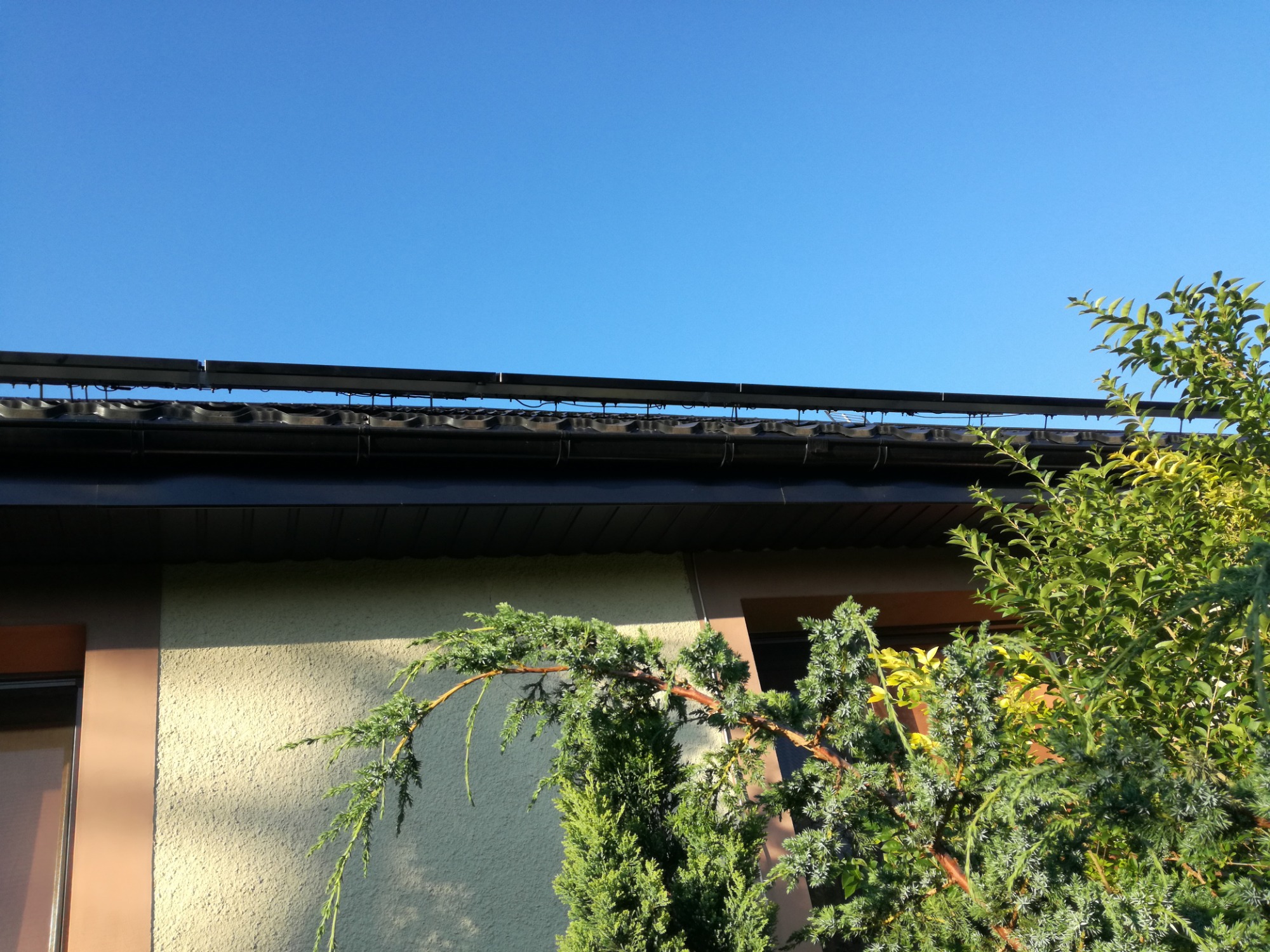 Częściowy widok paneli słonecznych na dachu domu jednorodzinnego, z zielonymi krzewami w pierwszym planie i błękitnym niebem w tle.