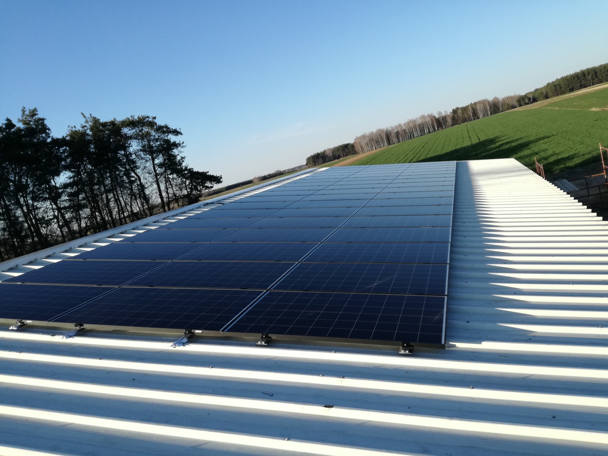 Instalacja fotowoltaiczna 18 kW na dachu z blachy trapezowej, widok z dołu pod kątem, w tle drzewa i pole uprawne pod błękitnym niebem.