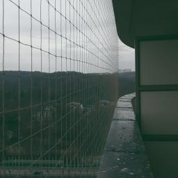 Montaż siatek przeciw ptactwu