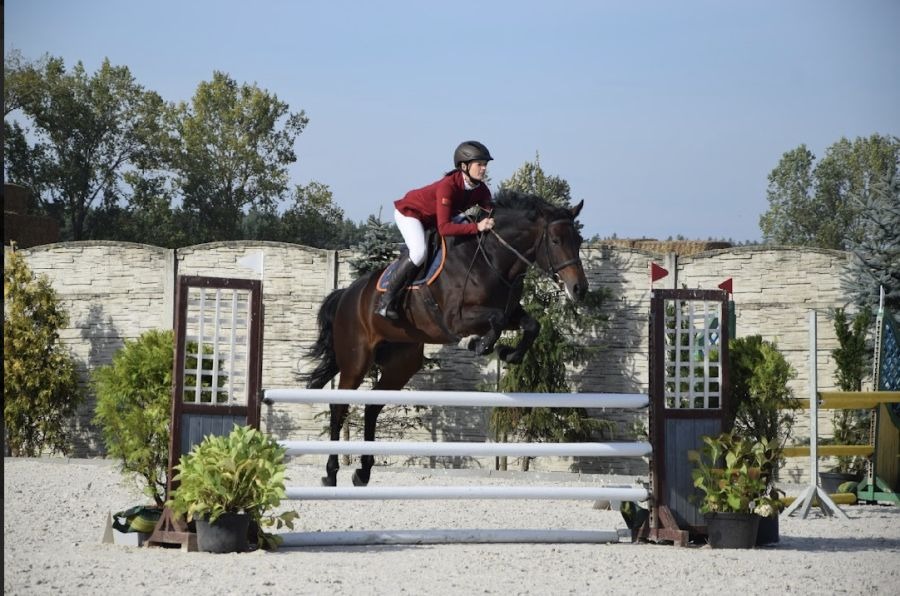 Jeździec w burgundowej kurtce i białych bryczesach na brązowym koniu skacze przez białą przeszkodę na piaszczystym terenie, w tle mur z kamienia łupanego i drzewa.