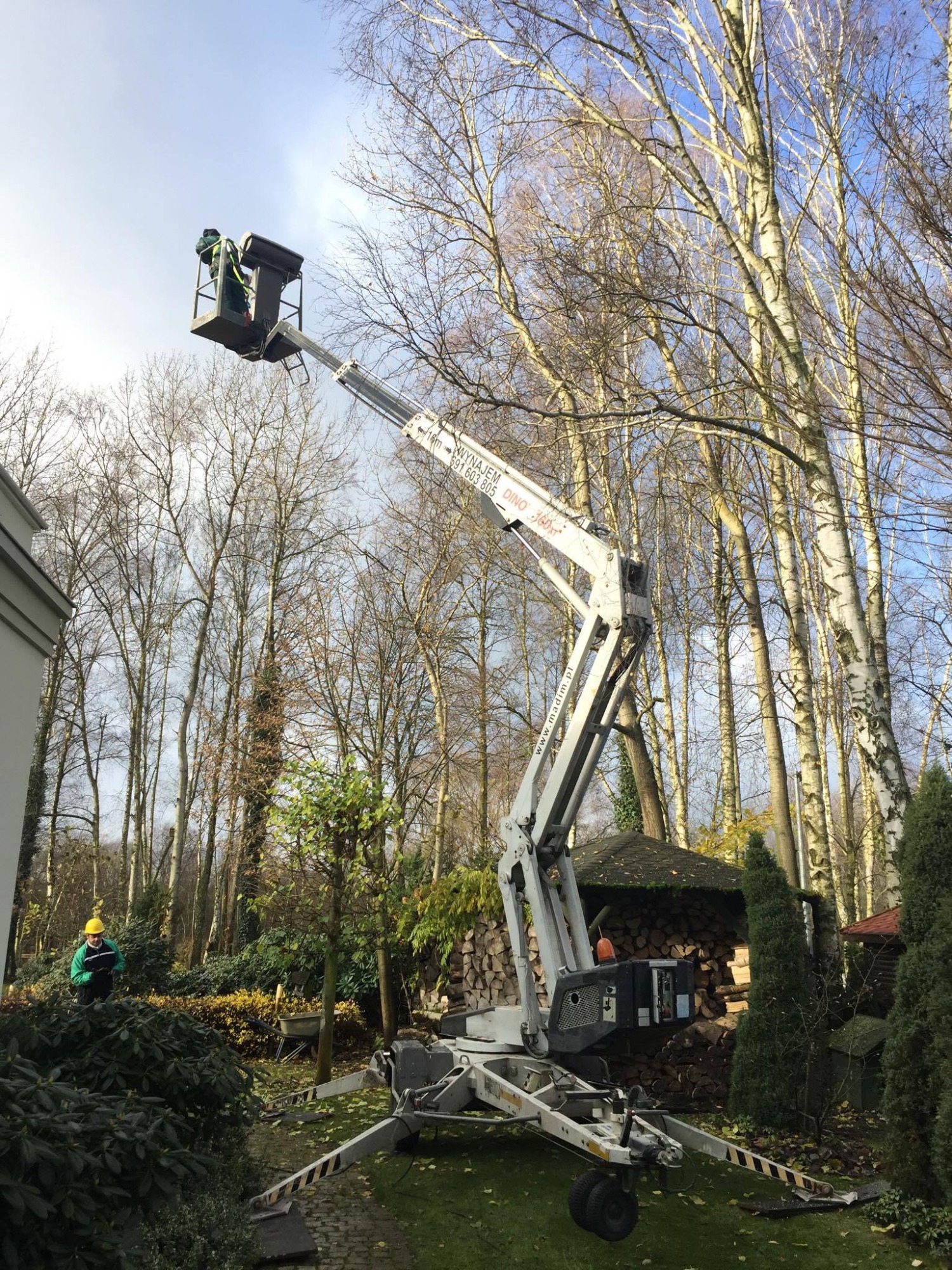 Pracownik w koszu podnośnika teleskopowego DINO 160XT, drugi pracownik w kasku na ziemi, pielęgnacja drzew w ogrodzie, w tle sterta drewna i budynki.