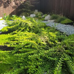 Ogród japoński ogrodzenie taras 