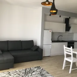 Jasne mieszkanie z aneksem kuchennym, szara sofa z szezlongiem, białe krzesła i stół, dywan w odcieniach szarości z abstrakcyjnym wzorem drzewa, lampy wiszące z elementami w kolorze złota.