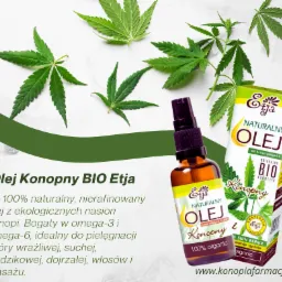 Olej Konopny BIO Etja w butelce z atomizerem i kartonowym opakowaniu, otoczony świeżymi liśćmi konopi na jasnym tle. Produkt dostępny w Poznaniu.