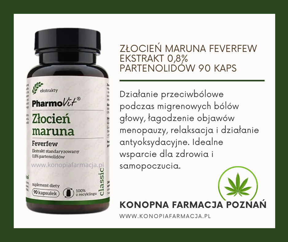 Ciemna butelka suplementu diety Złocień Maruna Feverfew marki PharmoVit z informacjami o ekstrakcie, partenolidach i działaniu przeciwbólowym, umieszczona obok tekstu reklamowego na zielonym tle...