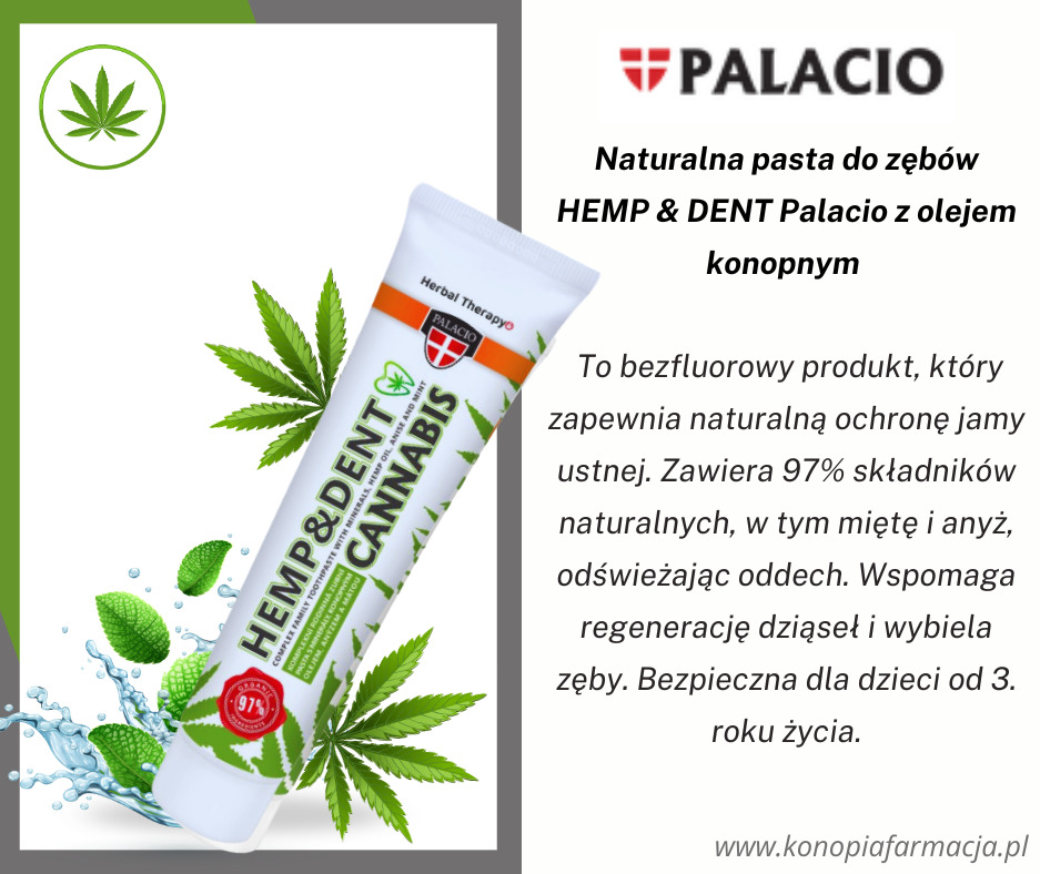 Grafika reklamowa pasty do zębów HEMP & DENT Palacio z olejem konopnym, z zielonymi liśćmi konopi i mięty oraz kroplami wody, na białym tle z szarym obramowaniem.