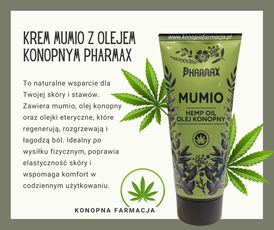 Grafika reklamowa kremu Mumio z olejem konopnym marki Pharmax, prezentująca tubkę produktu na tle z liśćmi konopi i tekstem informacyjnym o właściwościach kosmetyku.