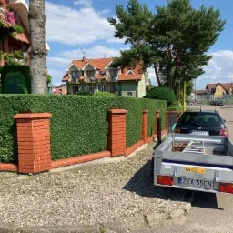Przycięty żywopłot z ceglanymi słupkami, widoczny z perspektywy ulicy z zaparkowaną przyczepą, domy w tle.