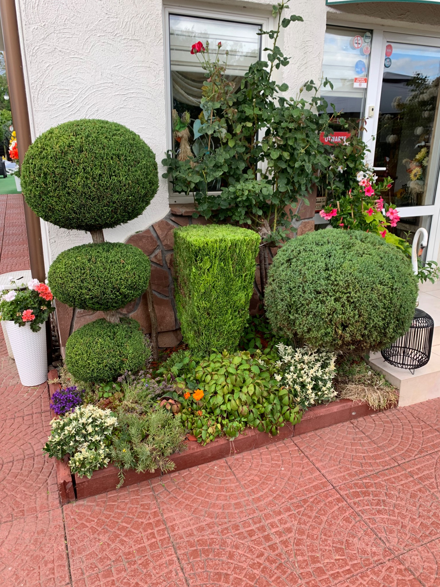 Ozdobne krzewy w kształcie kul i prostopadłościanu, rabata z różnymi kwiatami i roślinami, kompozycja przy wejściu do budynku.