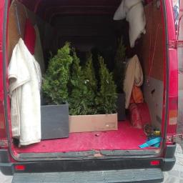 Fast-Trans Przeprowadzki Torun - Wnętrze czerwonego busa z otwartymi drzwiami załadowane choinkami w donicach i kartonie, wiszące ubrania na ścianach, widok z zewnątrz na chodnik i plakat.