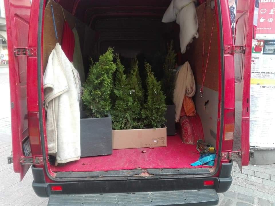 Wnętrze czerwonego busa z otwartymi drzwiami załadowane choinkami w donicach i kartonie, wiszące ubrania na ścianach, widok z zewnątrz na chodnik i plakat.