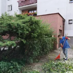 Mężczyzna w niebieskiej koszulce i czerwonych rękawicach grabi liście i gałęzie przed budynkiem mieszkalnym, obok leży piła spalinowa.