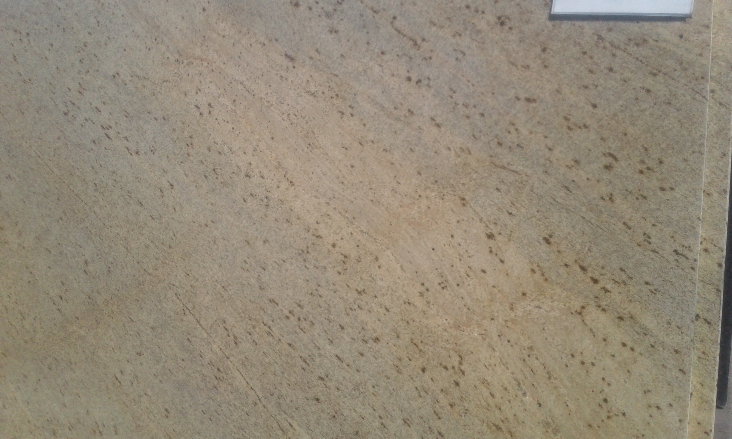 Polerowana płyta z jasnego granitu z brązowymi plamkami i widoczną strukturą ziarnistą.