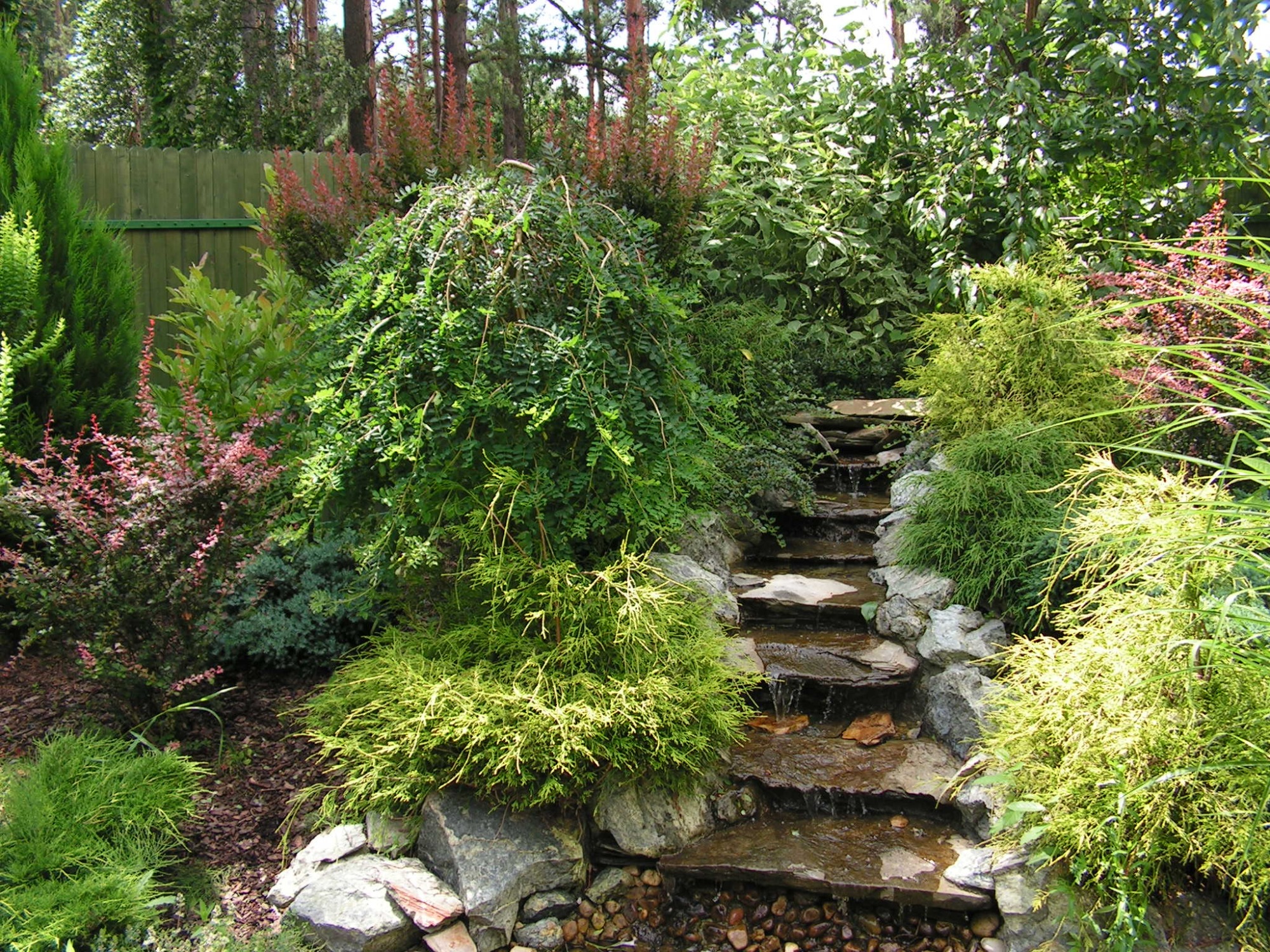 Ogród z kaskadowym strumieniem, różnorodną roślinnością i zielonym drewnianym płotem w tle.