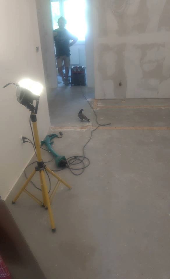 Nowa sciana działowa, nowe otwory na drzwi