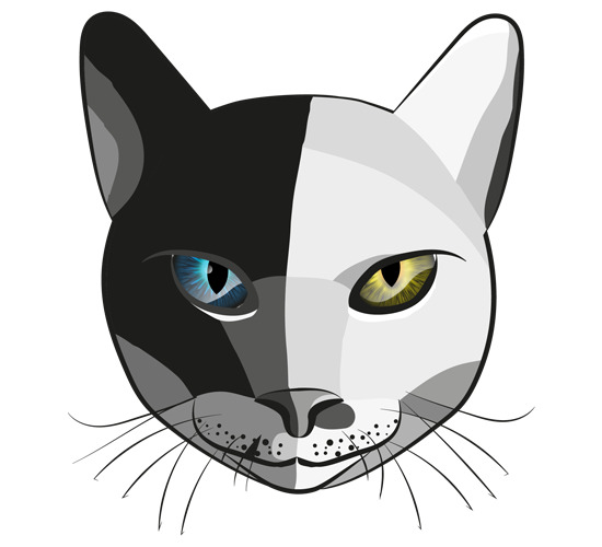 Ilustracja głowy kota w czerni i bieli z oczami w kolorach niebieskim i żółtym, grafika wektorowa.