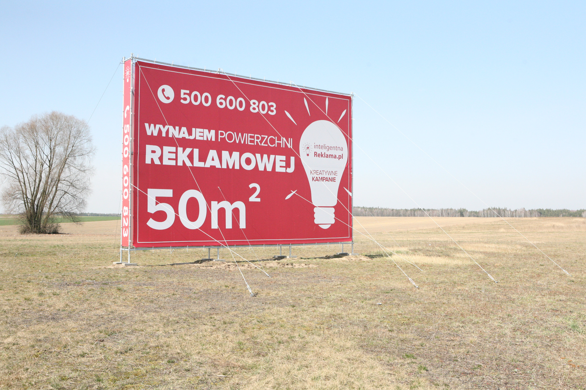 Duży, czerwony billboard z białymi napisami 'Wynajem powierzchni reklamowej 50m2' i numerem telefonu, umieszczony na polu z drzewem w tle.