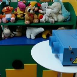 Ozon Piorun - Specjalistyczna usługa ozonowania