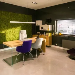 Nowoczesne biuro z drewnianym biurkiem na szklanych nogach, fioletowym i szarym krzesłem, ścianą z mchu, białymi szafkami wiszącymi i ciemnymi ścianami.