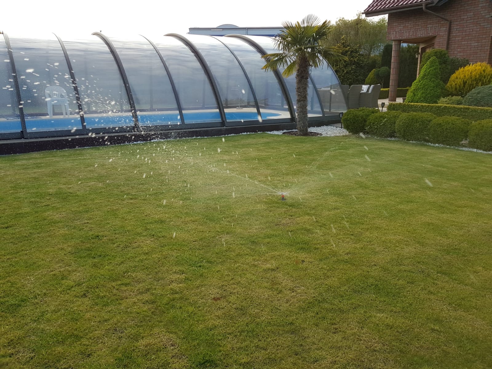 Automatyczny zraszacz nawadnia trawnik na tle zadaszonego basenu, palmy i zadbanego ogrodu z formowanymi krzewami.