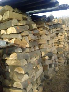 Stos pociętych klocków drewna ułożonych pod zadaszeniem, widoczne pomarańczowe oznaczenia na końcach niektórych kawałków.