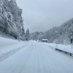 "LAZZAN" Łukasz Kotlarz - Firma Transportowa Międzynarodowa Czerwionka-Leszczyny