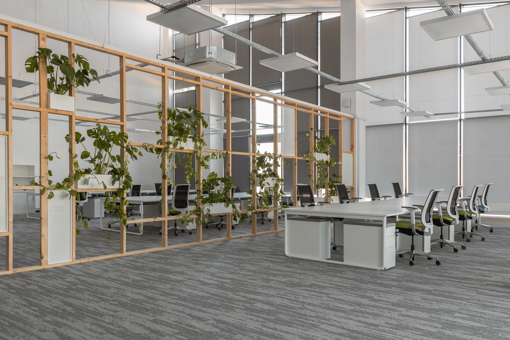 Jasne, nowoczesne biuro z drewnianą konstrukcją oddzielającą przestrzeń, roślinami w białych donicach, szarym dywanem w paski i rzędem krzeseł przy długim białym stole.