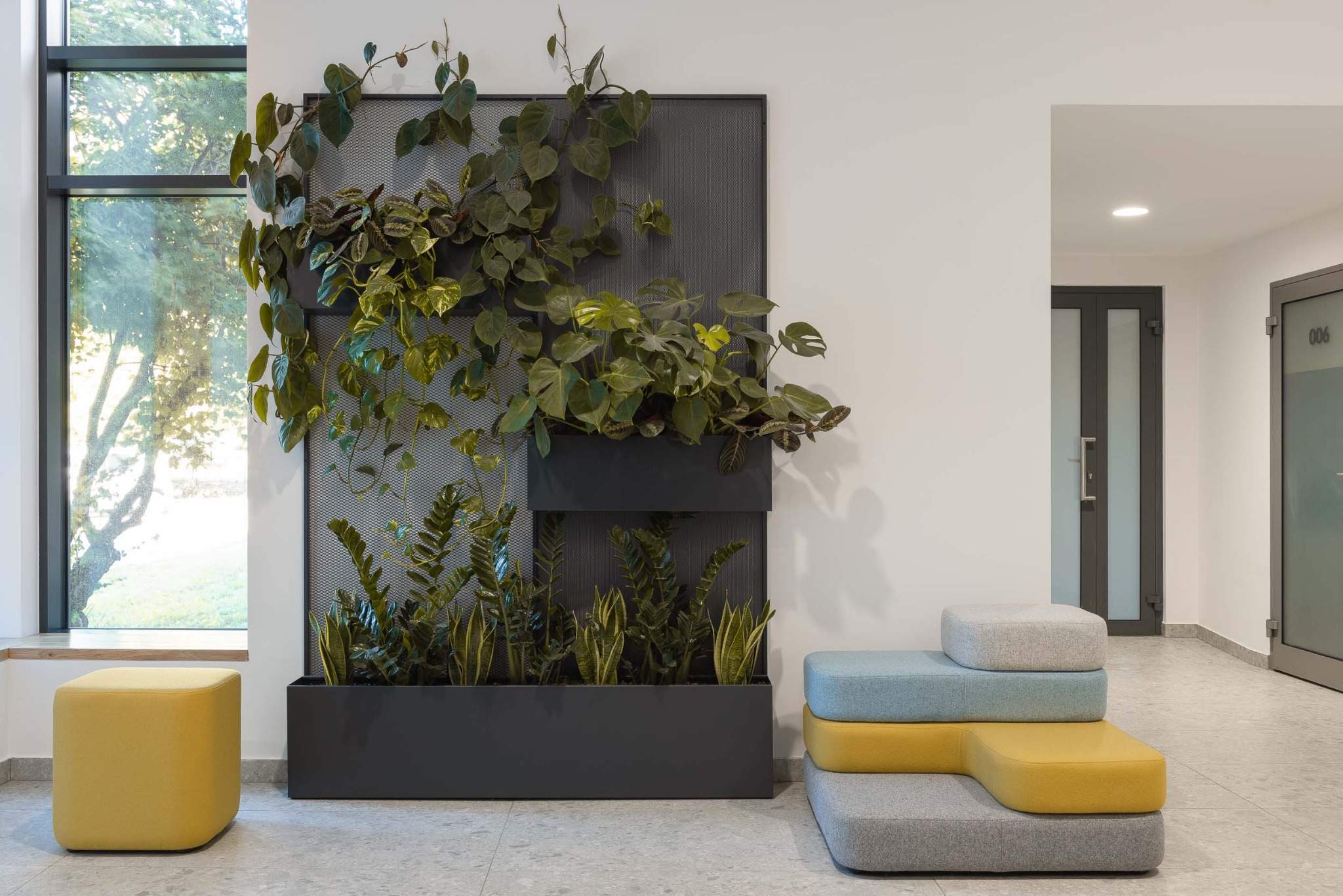 Żywa ściana z roślin w metalowej ramie, obok okna z widokiem na drzewo i modułowe pufy w odcieniach szarości, żółci i błękitu w nowoczesnym biurze.