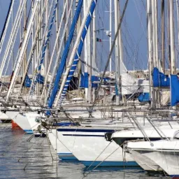 Rząd zacumowanych, białych jachtów z niebieskimi żaglami w porcie, maszty skierowane ku błękitnemu niebu.
