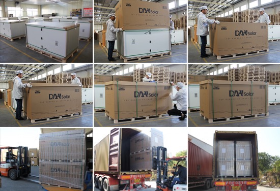 Pracownicy w białych kombinezonach zabezpieczają i ładują zapakowane moduły solarne marki DAN Solar na paletach do kontenera transportowego.