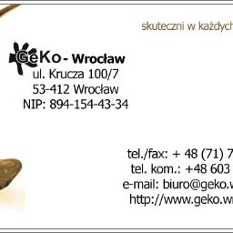 Geko - Wrocław - Wyjątkowy Geolog Wrocław