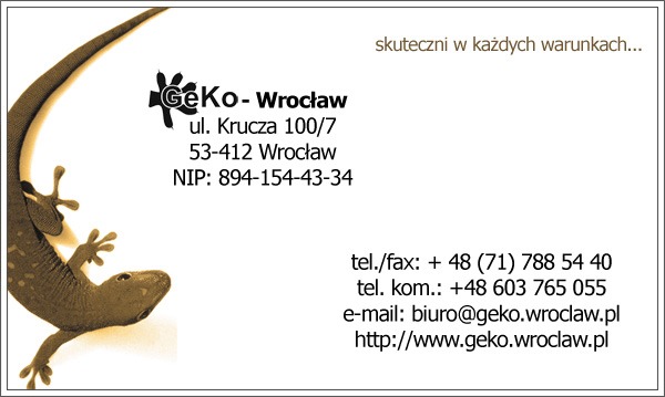 Wizytówka firmy z adresem, numerami telefonów, adresem e-mail i stroną internetową, ozdobiona grafiką jaszczurki gekona.