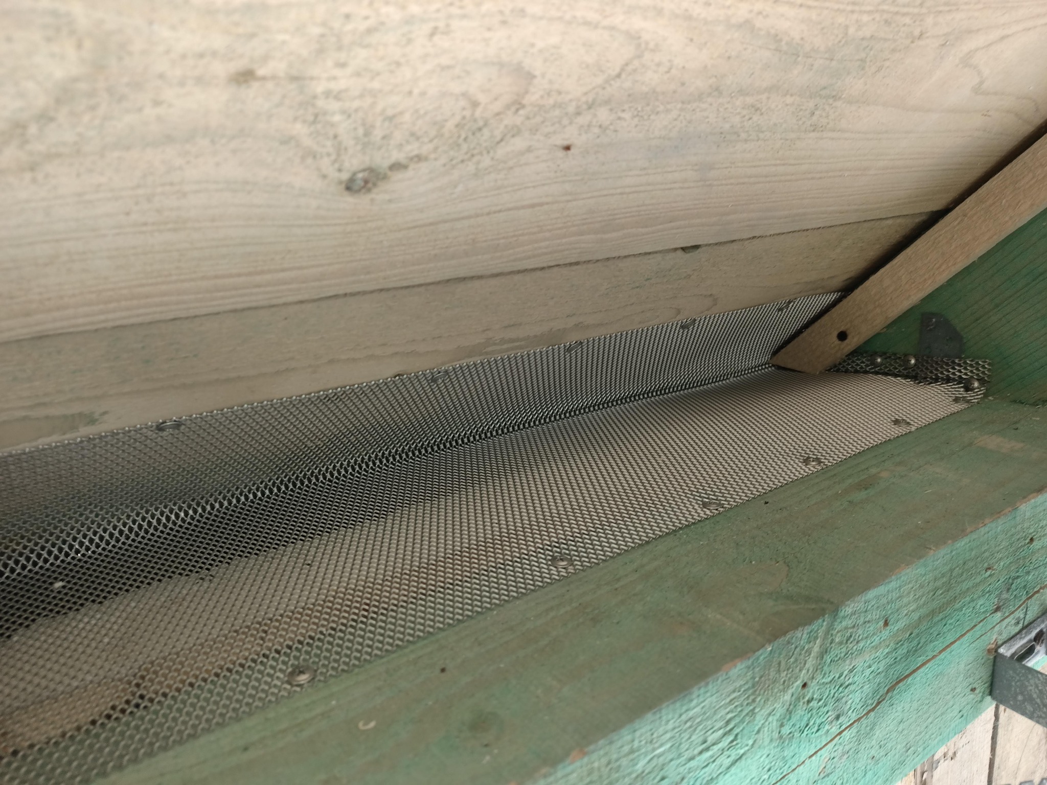 Zamontowana metalowa siatka pod drewnianą konstrukcją dachu, zabezpieczająca przed gryzoniami i owadami. Widoczne detale mocowania.