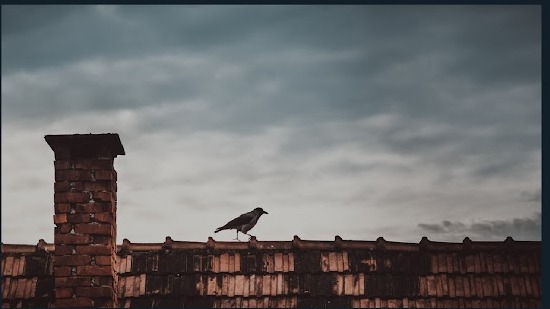 Ceglany komin na dachu z dachówki, na którym stoi czarny ptak, na tle pochmurnego nieba.