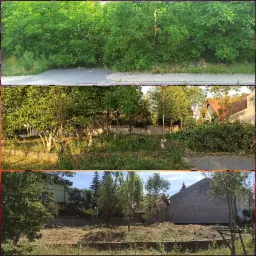 Kompozycja trzech ujęć ogrodu: gęsta zieleń przy chodniku, uporządkowany teren z drzewami i fragmentami ściętych gałęzi, oraz świeżo skoszona trawa na tle budynków.