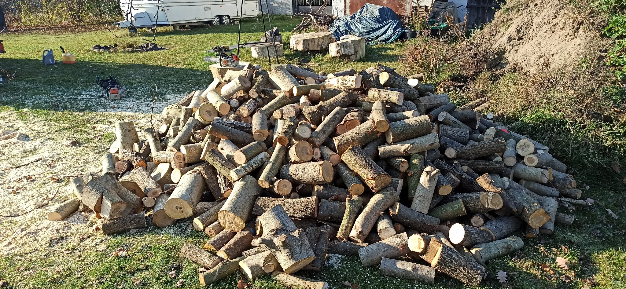 Stos pociętych kloców drewna na trawie, w tle przyczepa kempingowa i narzędzia do cięcia drewna, w tym piły łańcuchowe i kanistry z paliwem.
