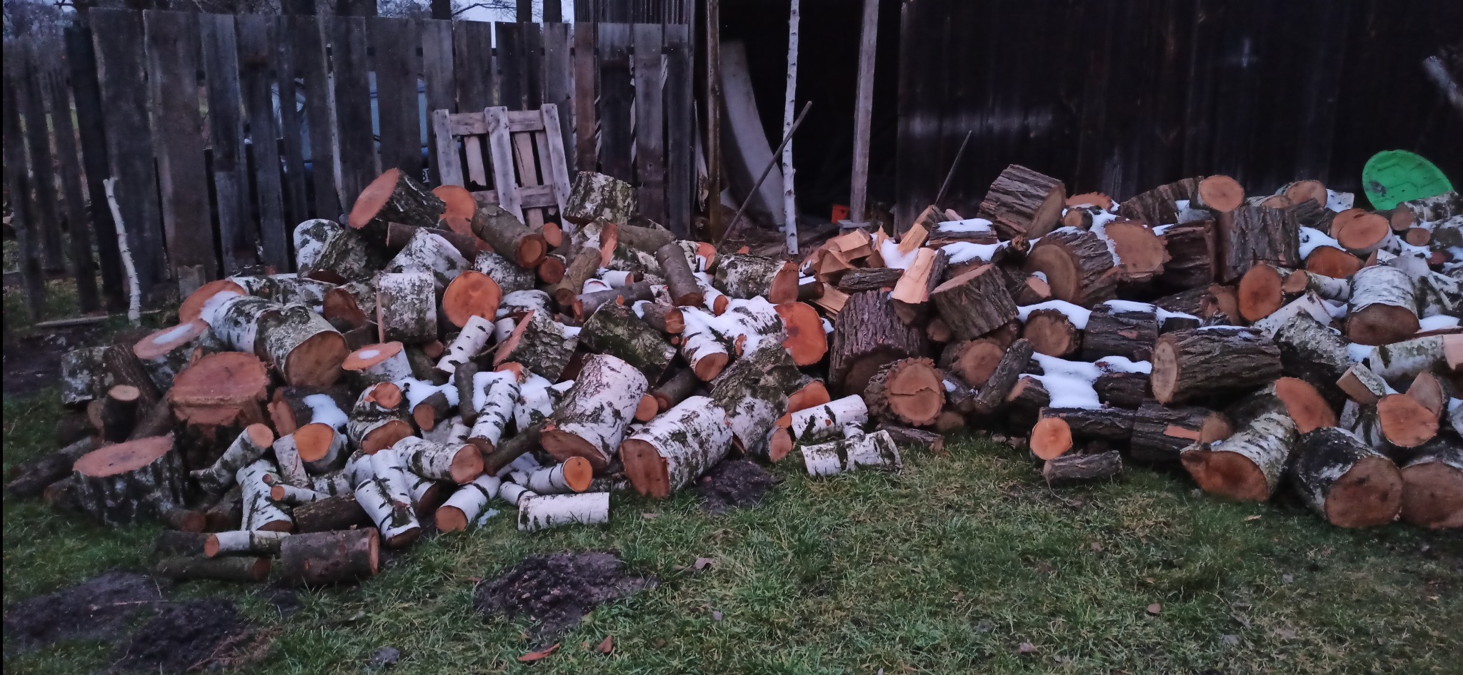 Stos pociętego drewna brzozowego i liściastego z resztkami śniegu na trawie przed drewnianym budynkiem gospodarczym i płotem.