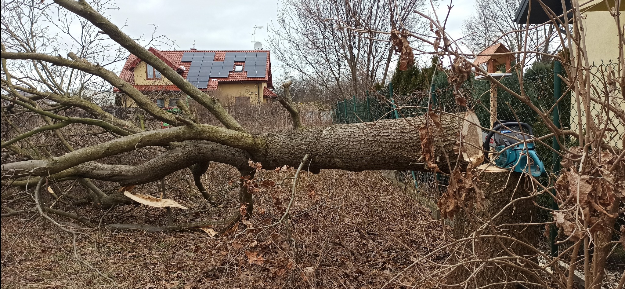 Ścięty pień drzewa leżący na ziemi, z widoczną piłą łańcuchową na pniu, w tle dom z panelami słonecznymi i budka dla ptaków.