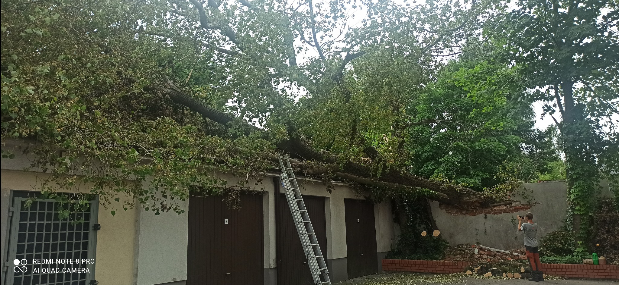 Duże drzewo powalone na budynek garażowy, z widoczną drabiną opartą o dach i osobą filmującą uszkodzony mur z cegieł.